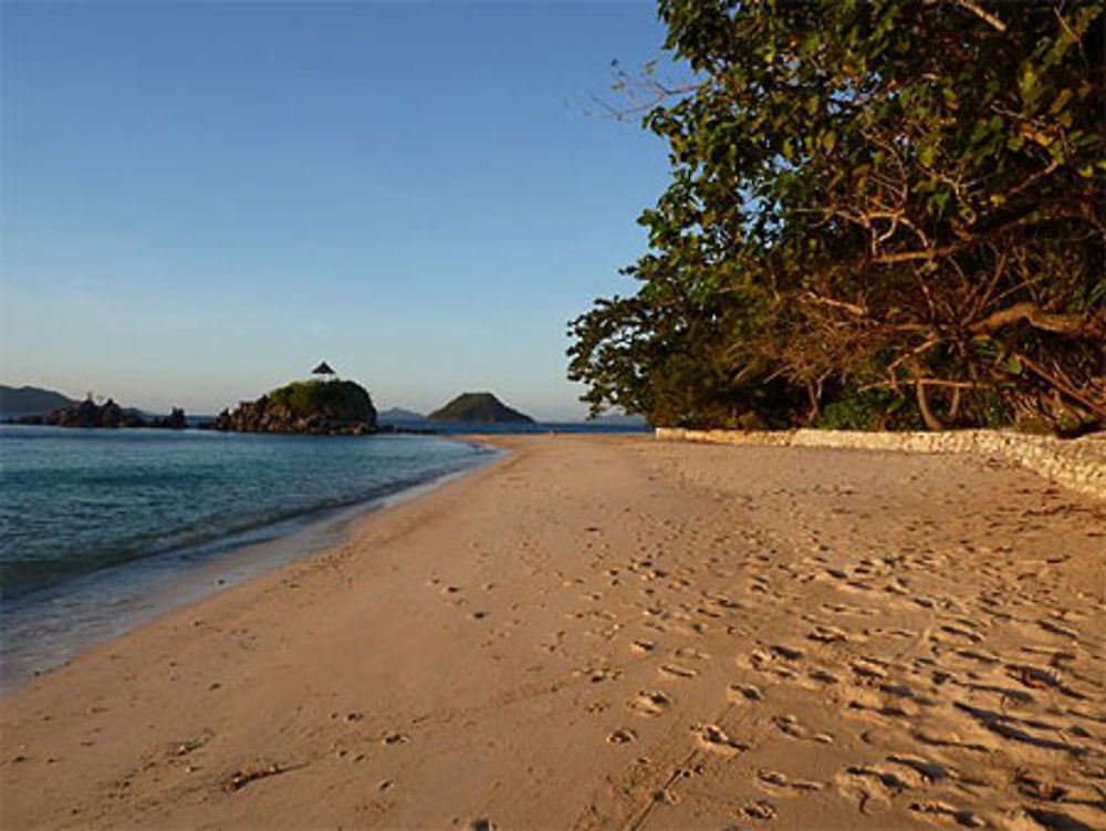 Flower island