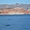 Baleines grises et paysage de Calfornie mexicaine
