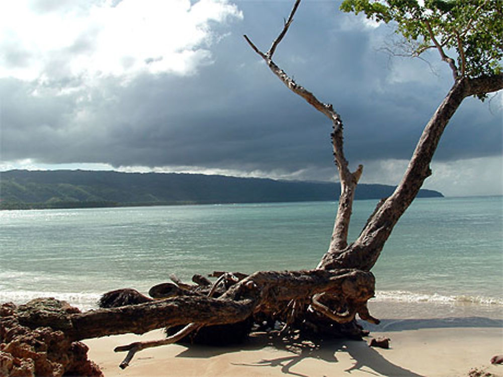 Cosson (Las Terrenas), ahhhh!