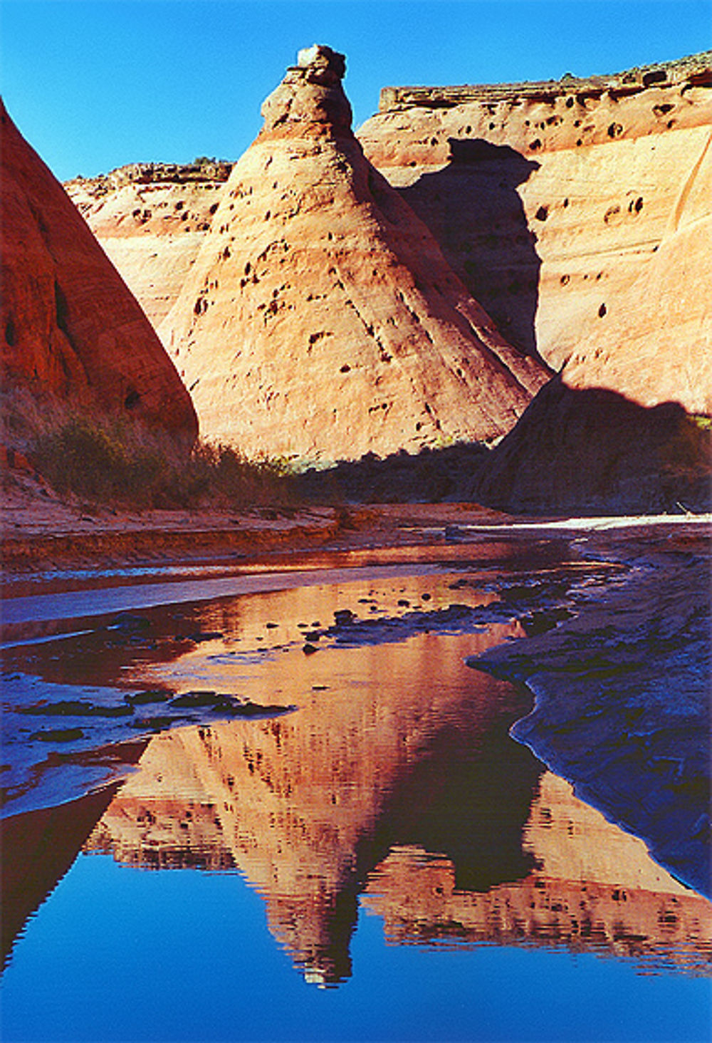 Reflexion dans la Paria River