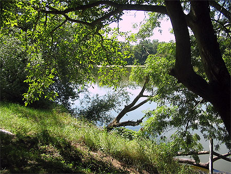 Petite promenade au bord de l'eau à Myennes Petite promenade au bord de l'eau à Myennes
