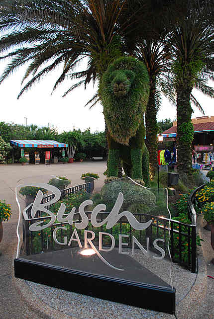 Busch Gardens