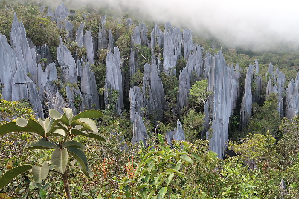 The Pinnacles