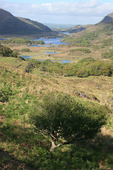 Lady's View (Killarney National Park)