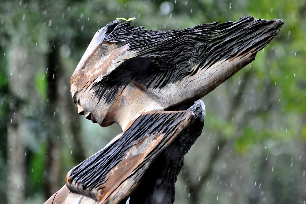 La sculpture sur bois