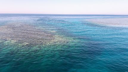 Récifs Coralien vu de la surface