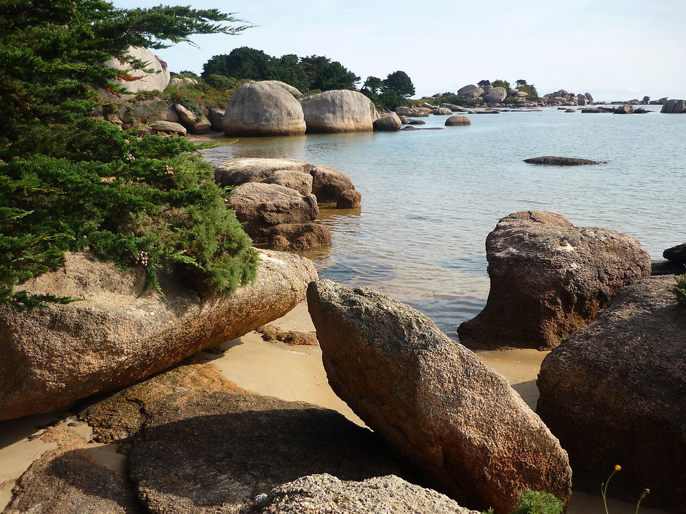 L'île Renote côté Baie de Sainte Anne.