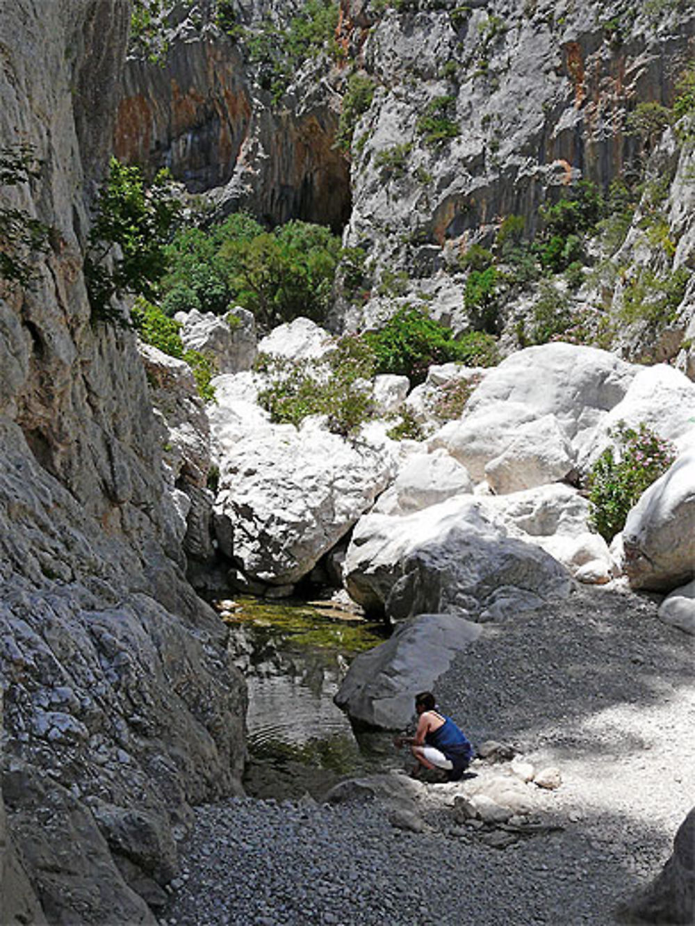 Gorges de Gorropu