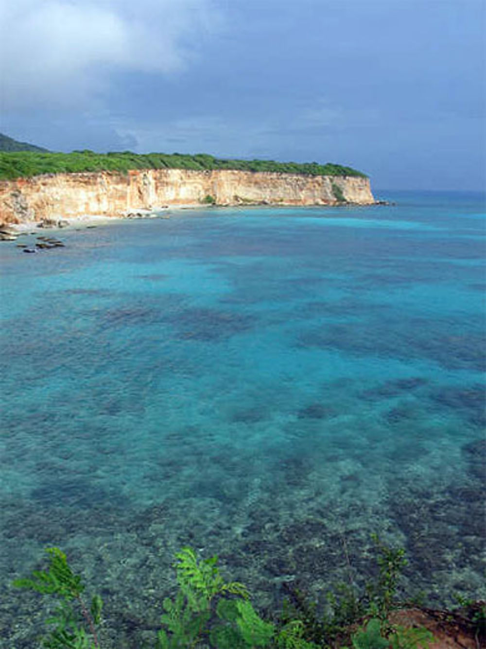 Couleur Caraïbes