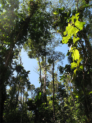 Serra da Bocaina Serra da Bocaina