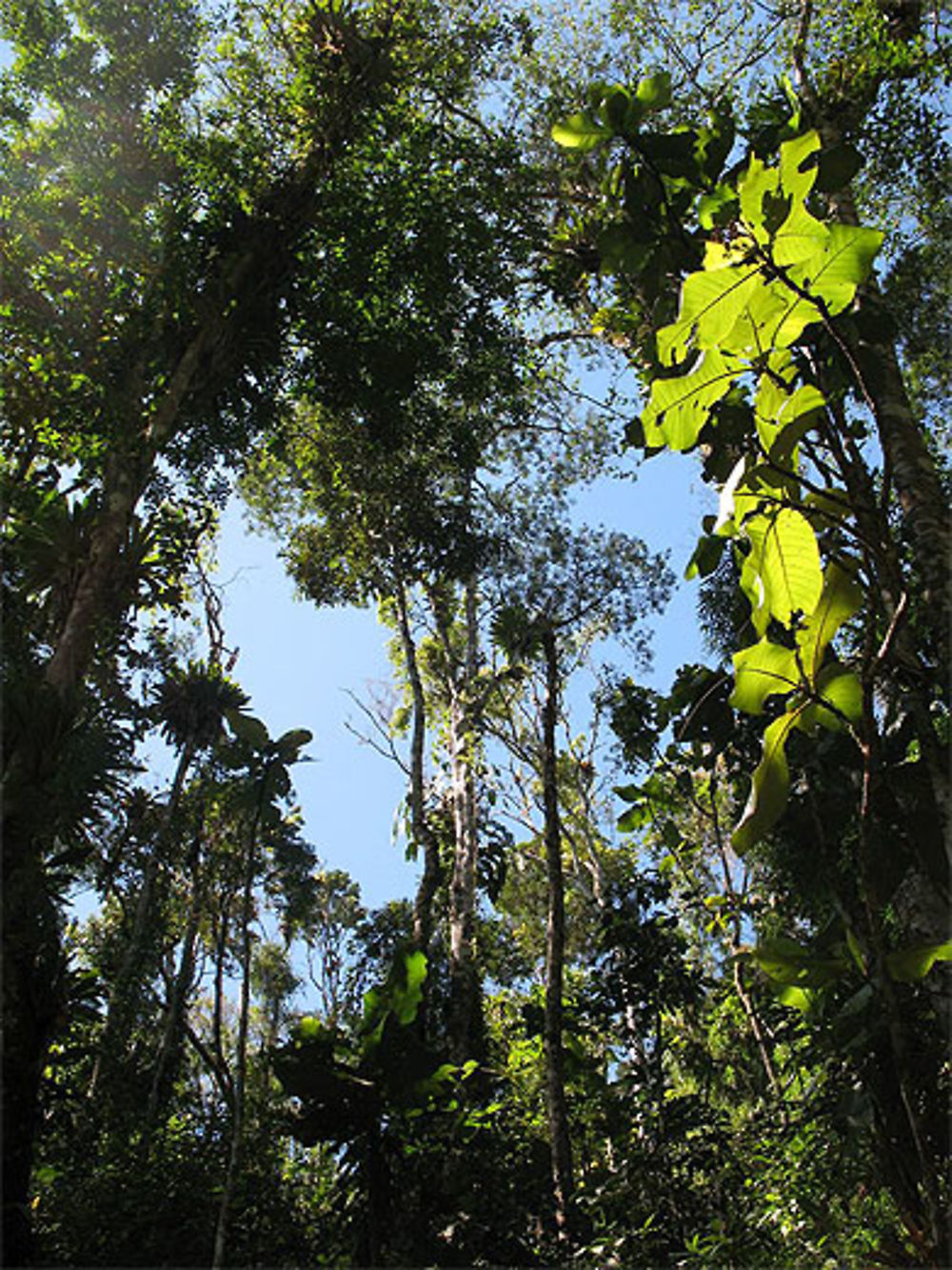 Serra da Bocaina