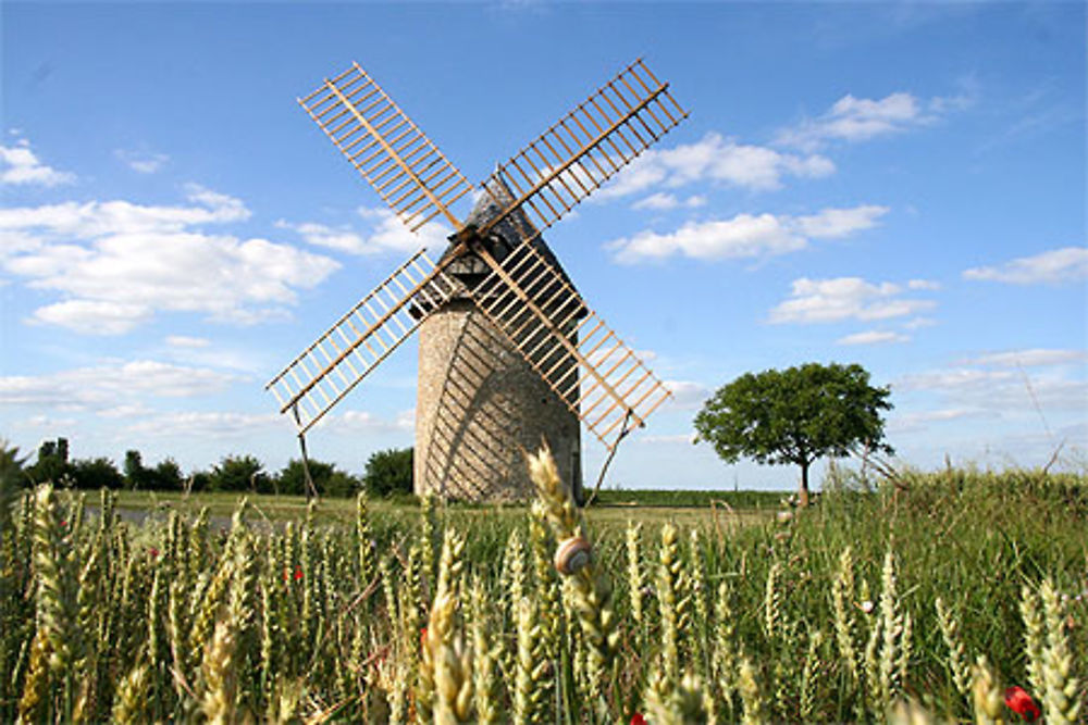 Moulin restauré