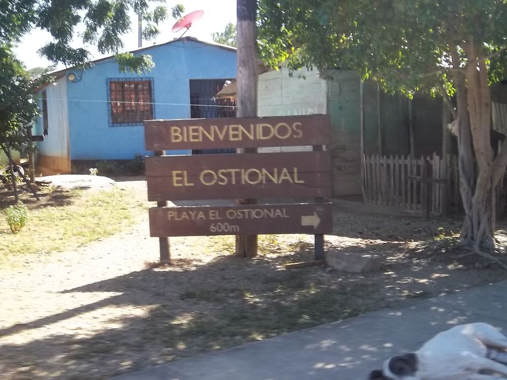 Plage Ostional San Juan del Sur 