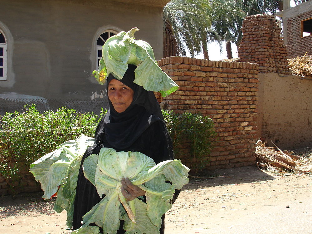 Vers de marché de Daraw