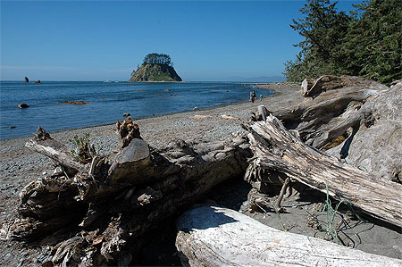 Cape Alava Cape Alava