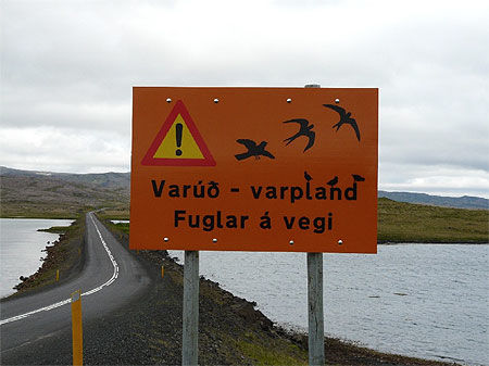Panneaux de protection pour les oiseaux nichant et volant près de la route
