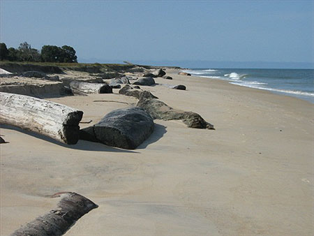 Plage Nyonié Plage Nyonié