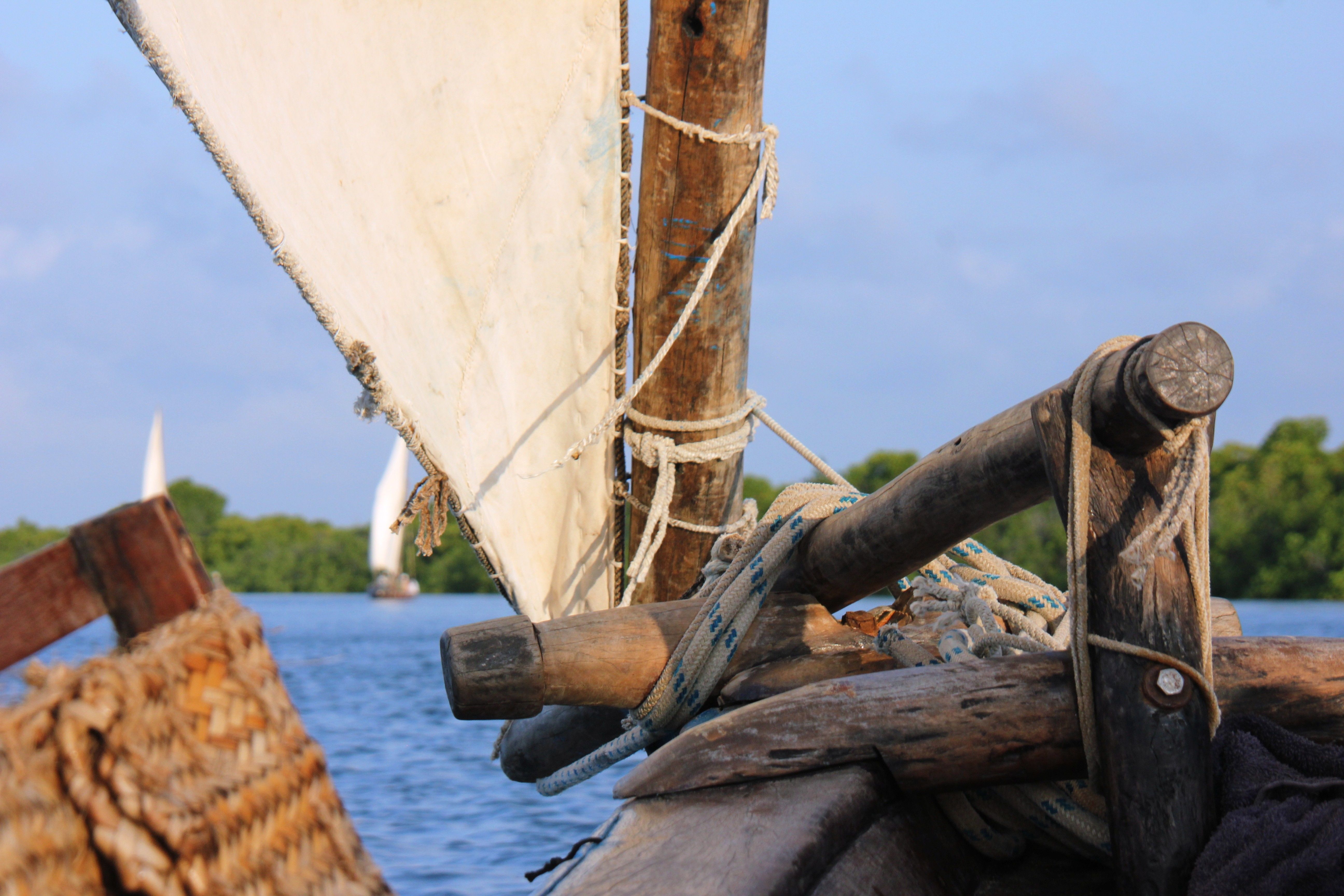 Tour en dhow traditionnel, île de Lamu