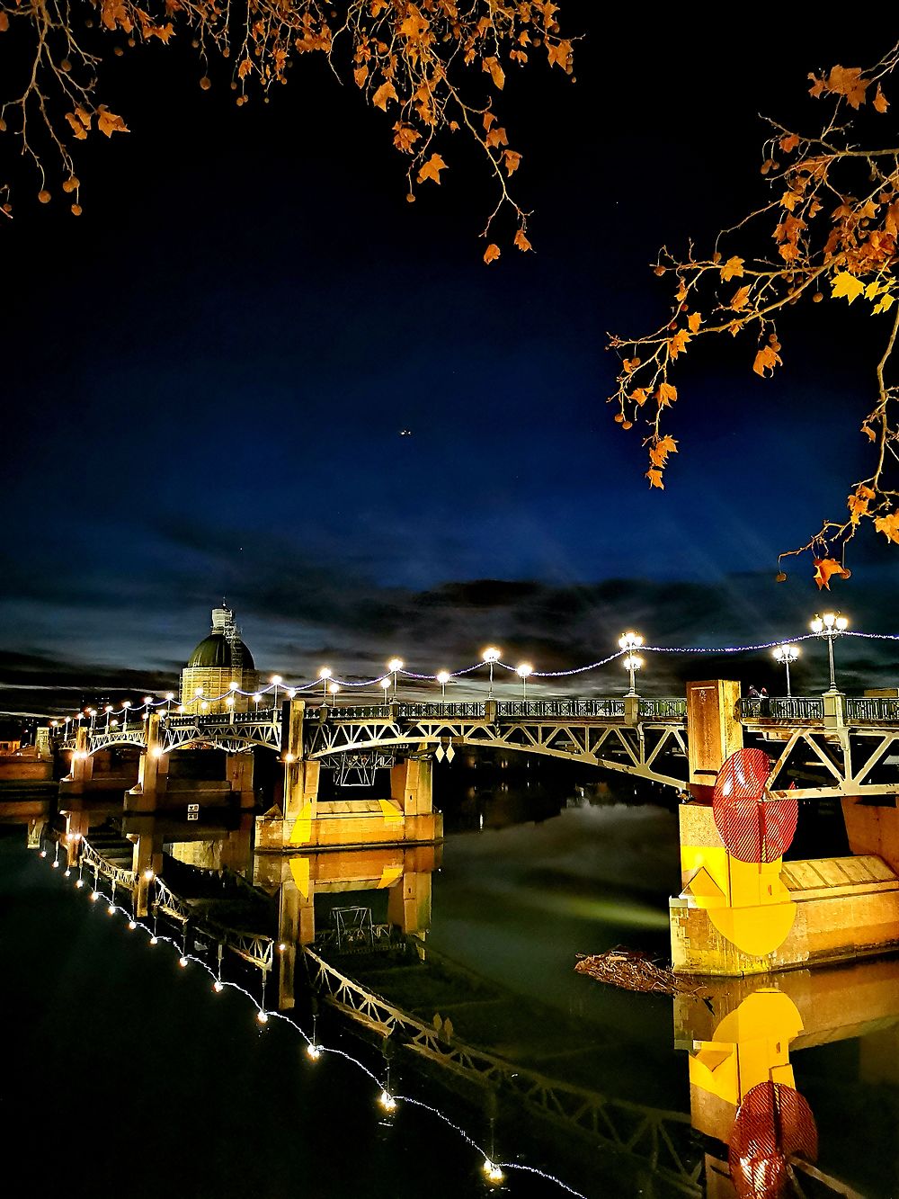 Toulouse by night 