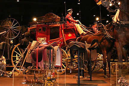 Musée du cheval (Horse park)