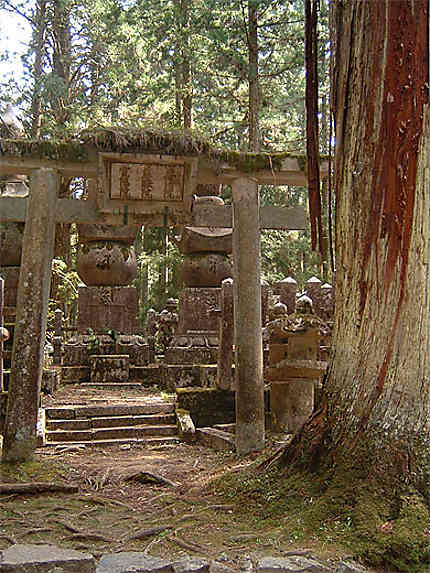 Cimetière du Mont Koya à Koyasan