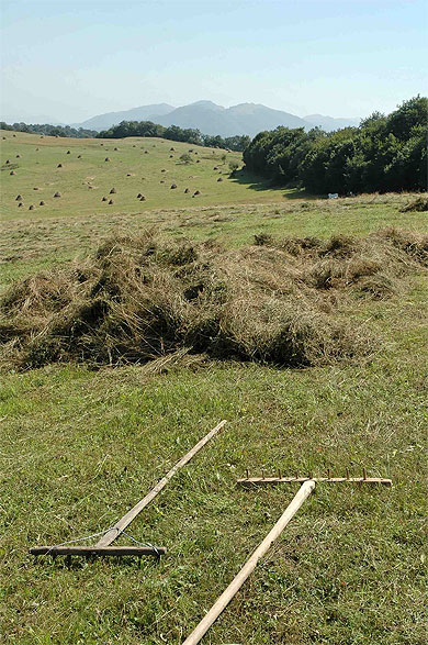 Près de Dilidjan Près de Dilidjan