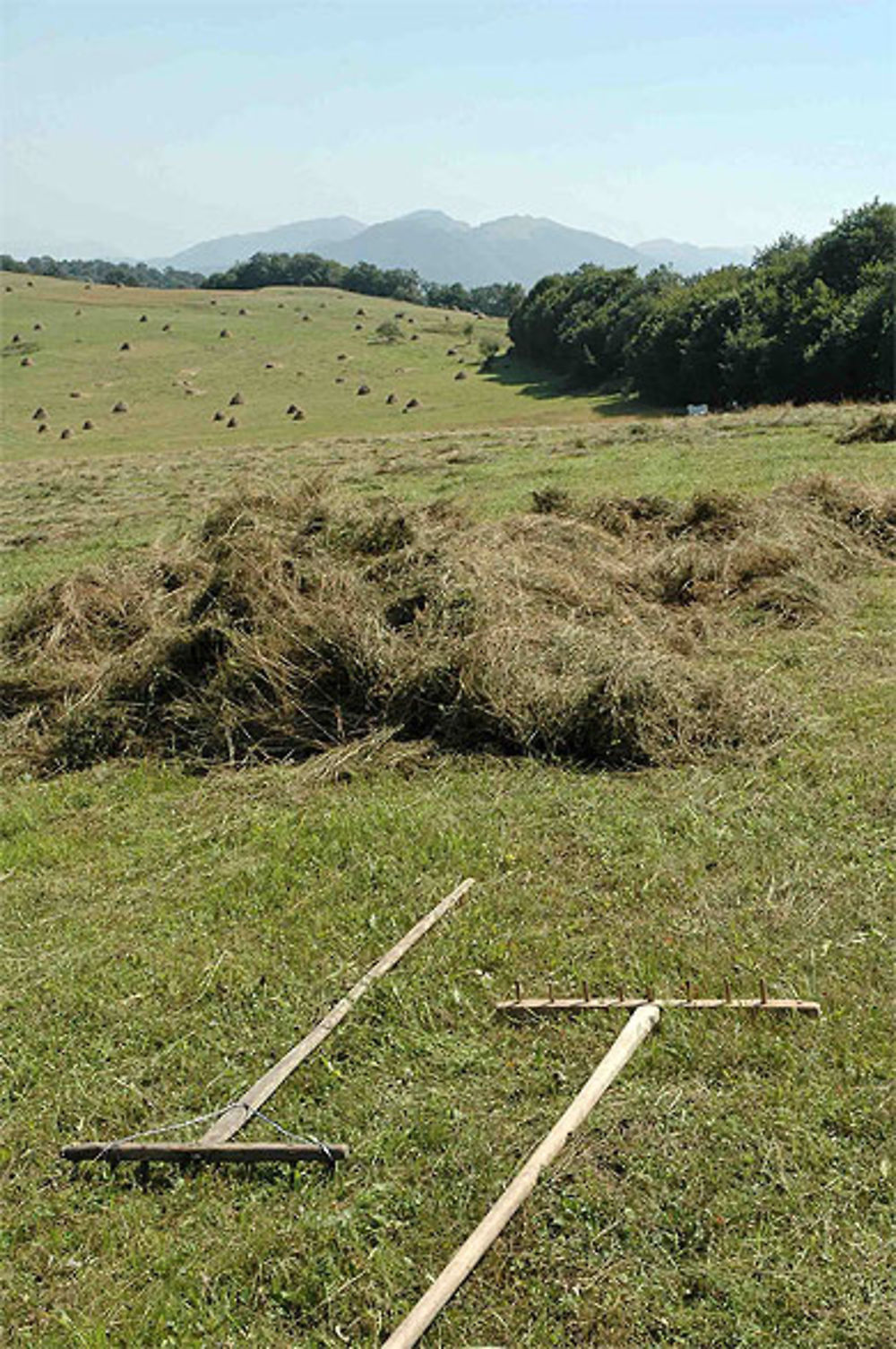 Près de Dilidjan