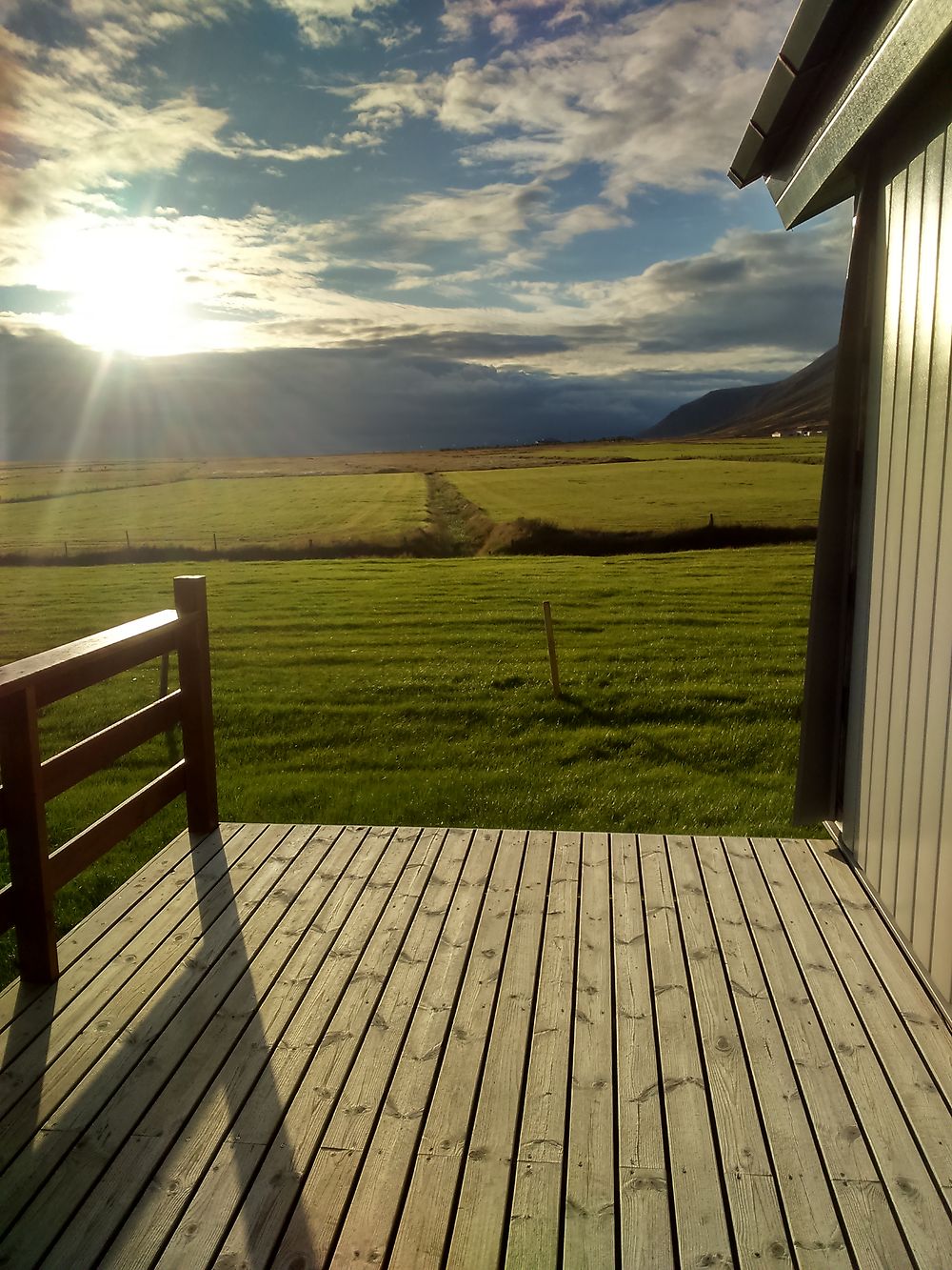 Vue paisible depuis la terrasse