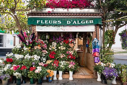 Alger - Kiosque Fleurs d'Alger