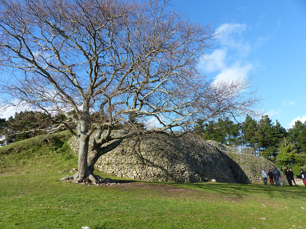 Le cairn de Gavrinis 