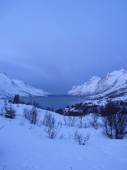 Ersfjord