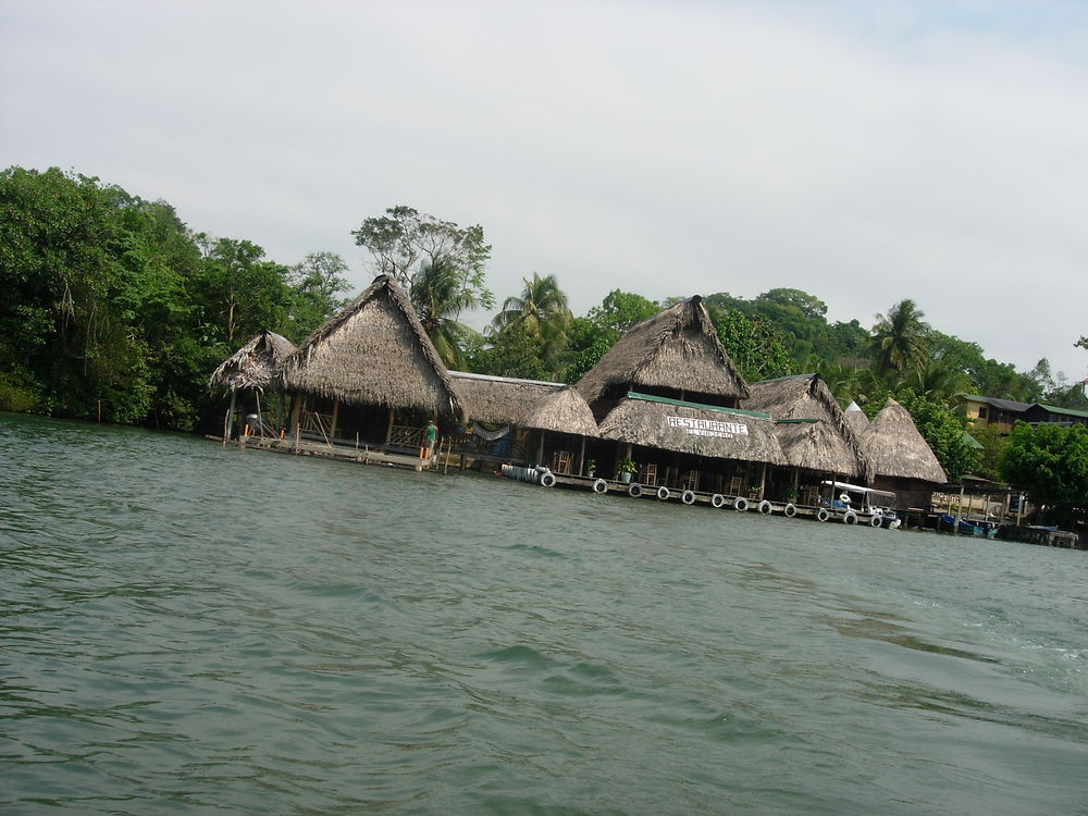 Un petit air d'Amazonie