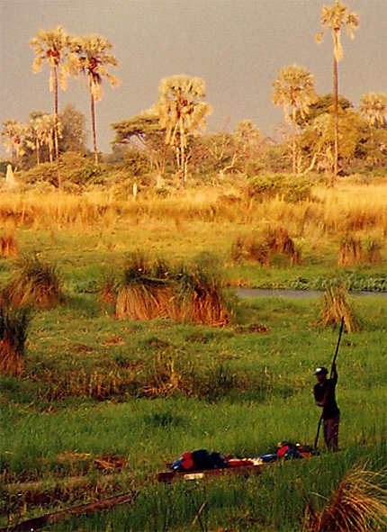 Fin d'après-midi dans le delta de l'Okavango