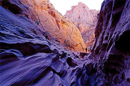Butterfly Canyon Butterfly Canyon