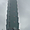 La tour Taipei 101 dans la brume
