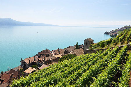 Près de Mollens dans le Jura Vaudois Près de Mollens dans le Jura Vaudois