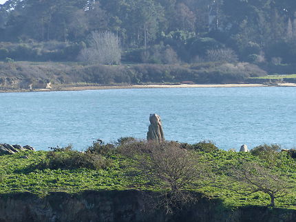 Un îlot face au Cairn de Gavrinis 
