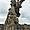 Statue Carnot à Angouleme