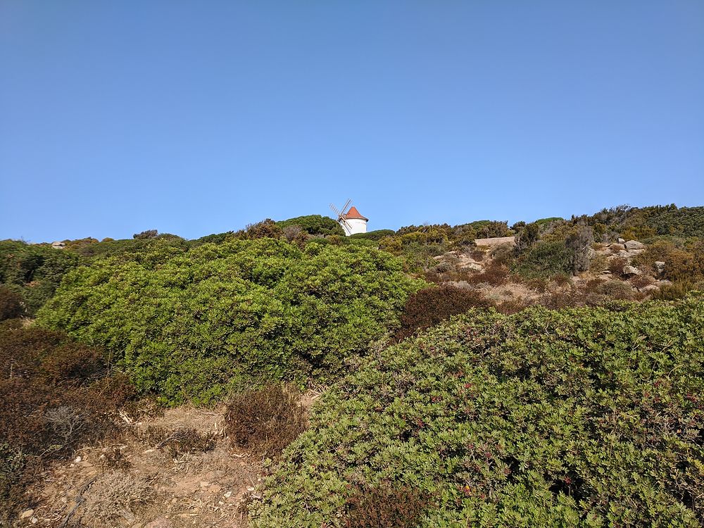 Le moulin des apéritifs