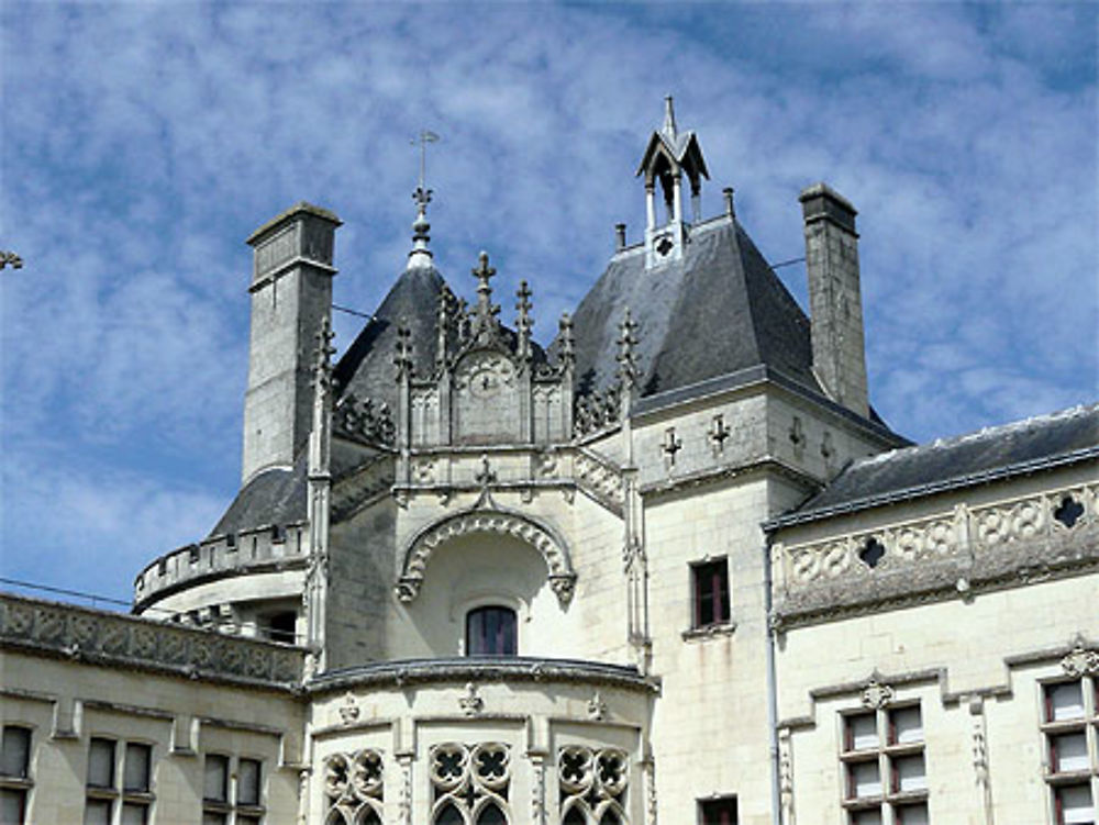 Château de Brézé