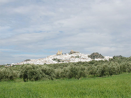 Olvera Olvera