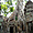 Temple Ta Phrom envahi par les racines tentaculaires des fromagers
