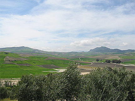 Paysage entre Olvera et Setenil