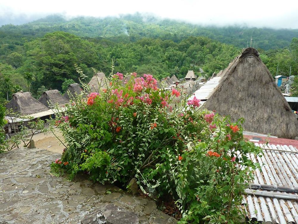 Village Ngada de Bena