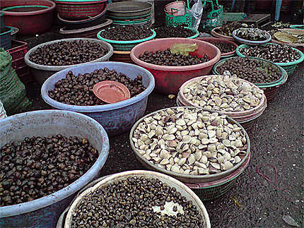 Coquillage au marché de Doclet