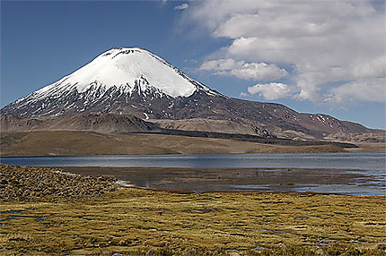 Volcan et lac Chungara