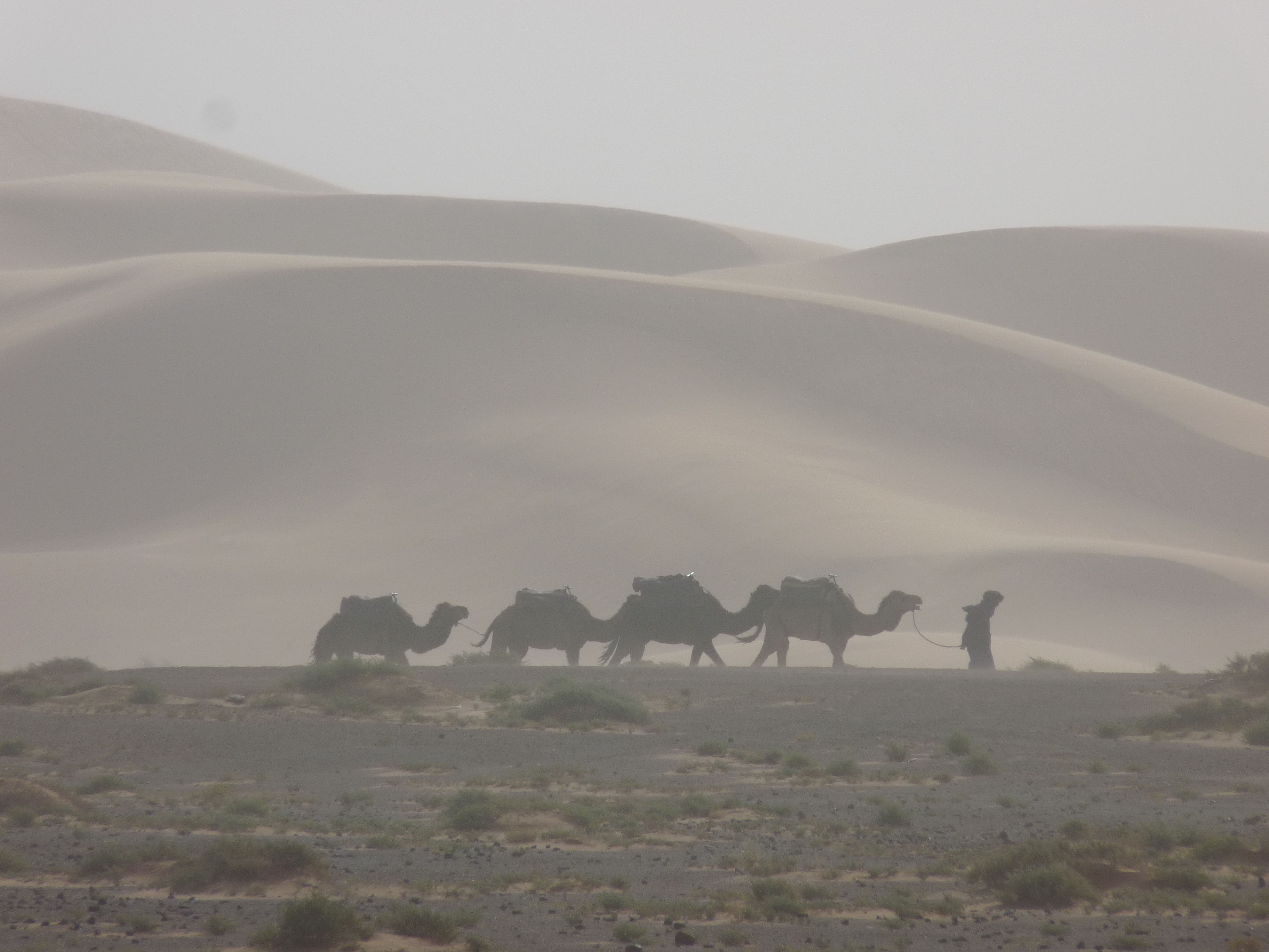 Caravane dans une tempête de sable, Guelmim