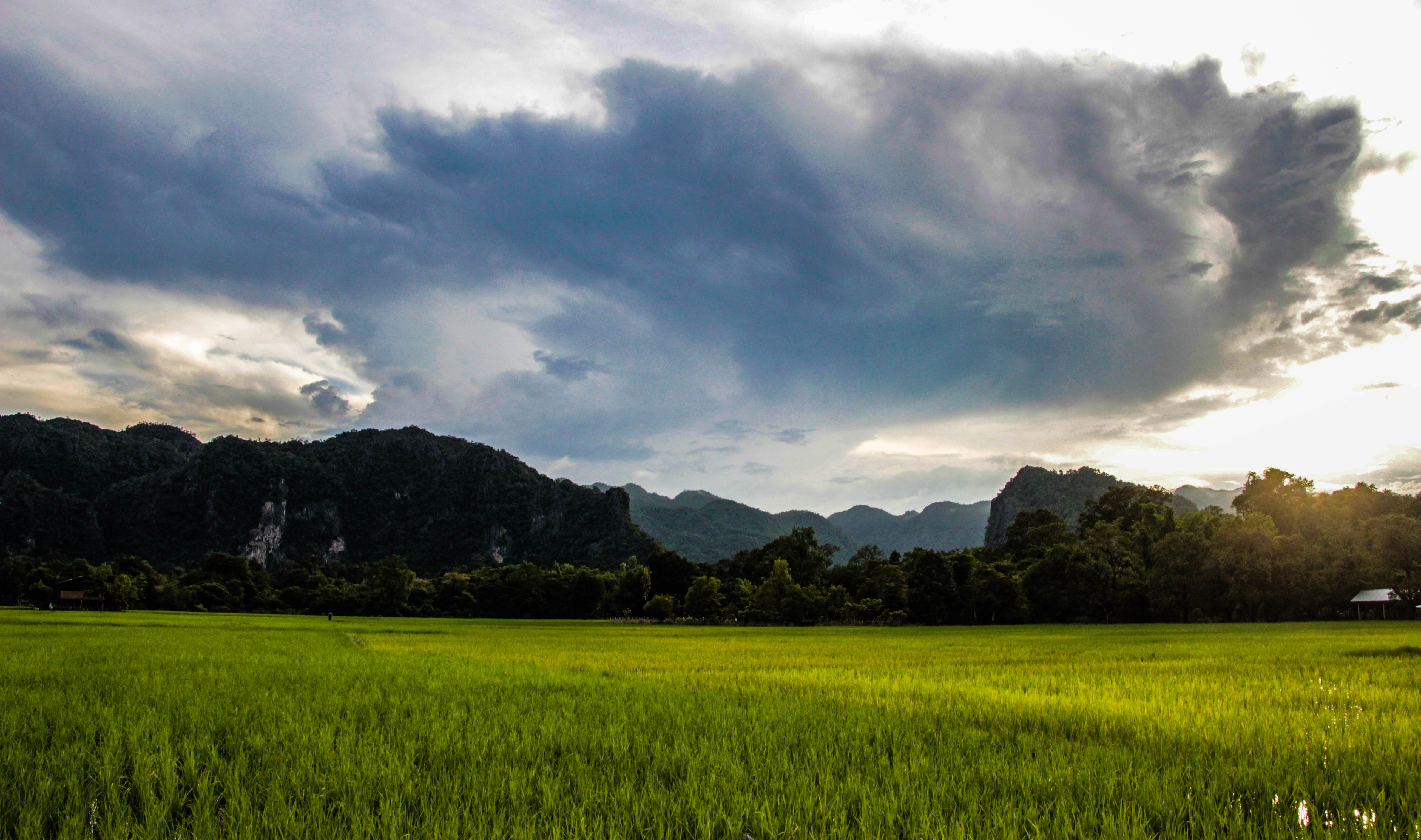 Thakhek et ses rizières Thakhek et ses rizières