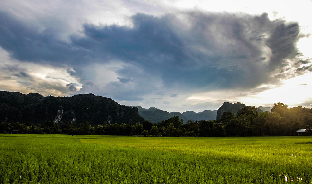 Thakhek et ses rizières