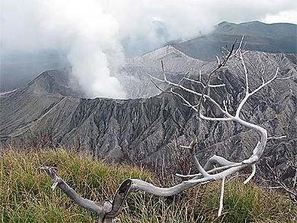 Du sommet du volcan Batok, vue plongeante sur le volcan Bromo.